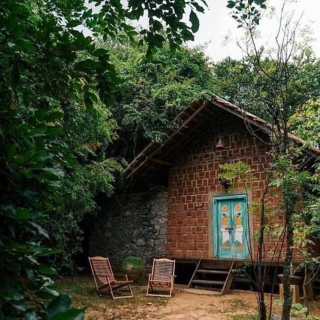 Vihanga Village - Jungle Retreat In Dambulla Esterno foto